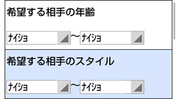 「希望する相手の年齢」「希望する相手のスタイル」