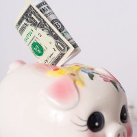 豚の貯金箱と紙幣