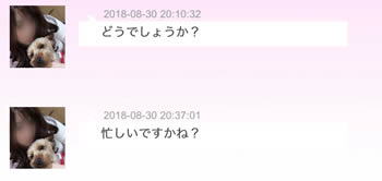 自動返信じゃなくて実在する人みたいですね、良かった♡ちなみに希望したら今日明日でもお会いできますか?