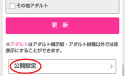 公開設定