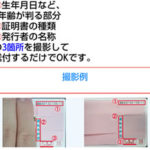 身分証の撮影例